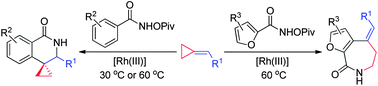 Graphical abstract: Rh(iii)-catalyzed C–H activation/cycloaddition of benzamides and methylenecyclopropanes: divergence in ring formation