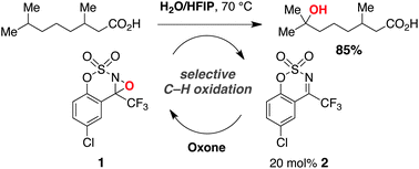 Graphical abstract: Organocatalytic C–H hydroxylation with Oxone® enabled by an aqueous fluoroalcohol solvent system