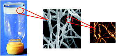 Graphical abstract: Designing unconventional Fmoc-peptide-based biomaterials: structure and related properties