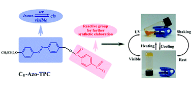 Graphical abstract: Multistimuli responsive organogels based on a reactive azobenzene gelator