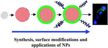 Graphical abstract: Synthesis of nanoparticles, their biocompatibility, and toxicity behavior for biomedical applications