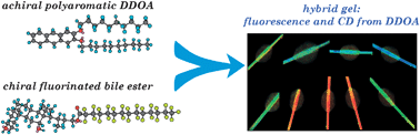 Graphical abstract: Hybrid organogels and aerogels from co-assembly of structurally different low molecular weight gelators