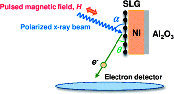 Graphical abstract: Spin orientation transition across the single-layer graphene/nickel thin film interface