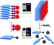 Graphical abstract: Two-component organogel for visually detecting nitrite anion