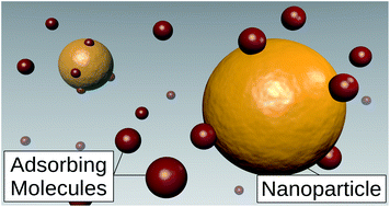 Graphical abstract: Nanoparticles in sensing applications: on what timescale do analyte species adsorb on the particle surface?