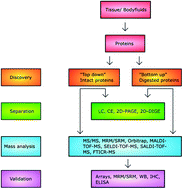 An Overview of Biomarker Discovery