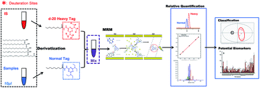 Graphical Abstract