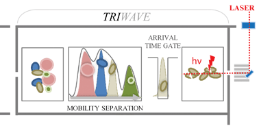 Graphical Abstract