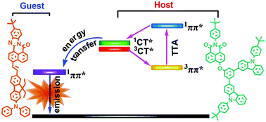 Graphical abstract: Charge-transfer-featured materials—promising hosts for fabrication of efficient OLEDs through triplet harvesting via triplet fusion