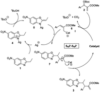 Graphical abstract: Synergistic catalysis: highly diastereoselective benzoxazole addition to Morita–Baylis–Hillman carbonates