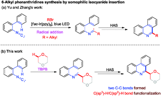 Graphical abstract: tert-Butyl peroxybenzoate (TBPB)-mediated 2-isocyanobiaryl insertion with 1,4-dioxane: efficient synthesis of 6-alkyl phenanthridines via C(sp3)–H/C(sp2)–H bond functionalization