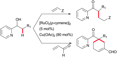 Graphical abstract: sp3C–H bond alkylation of ketones with alkenes via ruthenium(ii) catalysed dehydrogenation of alcohols