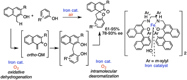 Graphical abstract: Iron-catalysed asymmetric tandem spiro-cyclization using dioxygen in air as the hydrogen acceptor
