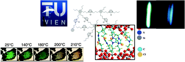 Graphical abstract: Ionic nanoparticle networks: development and perspectives in the landscape of ionic liquid based materials