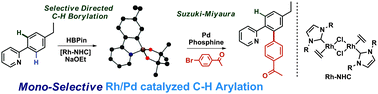 Graphical abstract: Highly selective directed arylation reactions via back-to-back dehydrogenative C–H borylation/arylation reactions