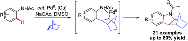 Graphical abstract: Pd-Catalyzed C–H activation/oxidative cyclization of acetanilide with norbornene: concise access to functionalized indolines