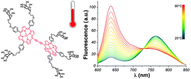 Graphical abstract: Glycoconjugated porphyrin dimers as robust ratiometric temperature sensors