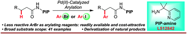 Graphical abstract: Pd(ii)-Catalyzed arylation of unactivated methylene C(sp3)–H bonds with aryl halides using a removable auxiliary
