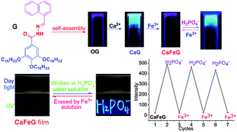 Graphical abstract: A novel strategy for the design of smart supramolecular gels: controlling stimuli-response properties through competitive coordination of two different metal ions