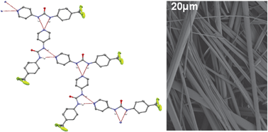 Graphical abstract: Supramolecular pyridyl urea gels as soft matter with antibacterial properties against MRSA and/or E. coli