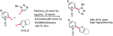 Graphical abstract: Palladium-catalyzed oxidative CH/CH cross-coupling of pyridine N-oxides with five-membered heterocycles