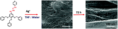 Graphical abstract: Metal induced gelation from pyridine cored poly(aryl ether) dendrons with in situ synthesis and stabilization of hybrid hydrogel composites