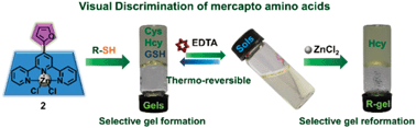 Graphical abstract: Tunable reversible metallo-hydrogels: a new platform for visual discrimination of biothiols