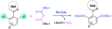 Graphical abstract: Ruthenium-catalyzed double-fold C–H tertiary alkoxycarbonylation of arenes using di-tert-butyl dicarbonate
