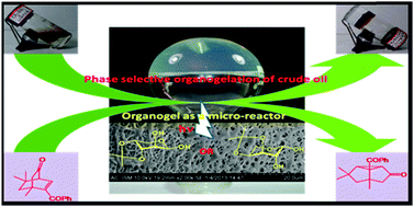 Graphical abstract: Enantiomeric organogelators from d-/l-arabinose for phase selective gelation of crude oil and their gel as a photochemical micro-reactor