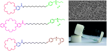 Graphical abstract: Construction of supramolecular organogels and hydrogels from crown ether based unsymmetric bolaamphiphiles