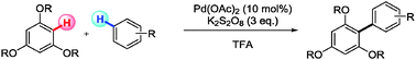 Graphical abstract: Palladium catalysed cross-dehydrogenative-coupling of 1,3,5-trialkoxybenzenes with simple arenes