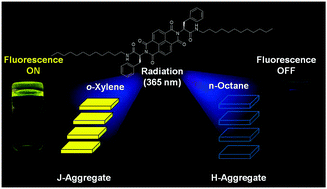 Graphical abstract: Tailor-made design of J- or H-aggregated naphthalenediimide-based gels and remarkable fluorescence turn on/off behaviour depending on solvents