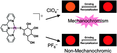 Graphical abstract: Counteranion-dependent mechanochromism of a photoluminescent platinum(ii) complex with mixed terpyridine and thioglucose