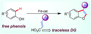 Graphical abstract: Orthogonal selectivity with cinnamic acids in 3-substituted benzofuran synthesis through C–H olefination of phenols