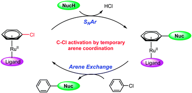 Graphical abstract: Catalytic SNAr of unactivated aryl chlorides