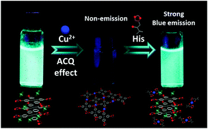 Graphical abstract: An imidazole-appended p-phenylene-Cu(ii) ensemble as a chemoprobe for histidine in biological samples