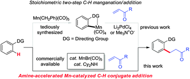 Graphical abstract: Amine-accelerated manganese-catalyzed aromatic C–H conjugate addition to α,β-unsaturated carbonyls