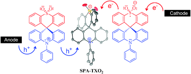 Graphical abstract: Spiro-configured phenyl acridine thioxanthene dioxide as a host for efficient PhOLEDs