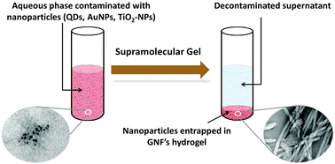 Graphical abstract: Decontamination of nanoparticles from aqueous samples using supramolecular gels