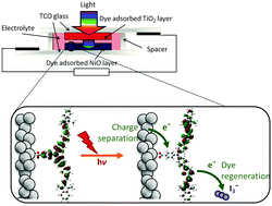 Graphical abstract: Increased photocurrent in a tandem dye-sensitized solar cell by modifications in push–pull dye-design