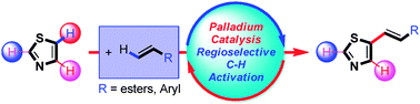 Graphical abstract: Diversified syntheses of multifunctionalized thiazole derivatives via regioselective and programmed C–H activation