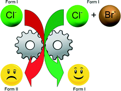 Graphical abstract: Drug solid solutions – a method for tuning phase transformations