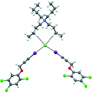 Graphical abstract: Polymorphs and co-crystals of haloprogin: an antifungal agent