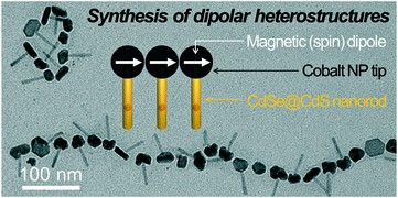 Graphical Abstract