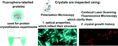 Graphical Abstract