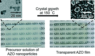 Graphical Abstract