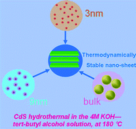 Graphical Abstract