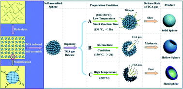 Graphical Abstract