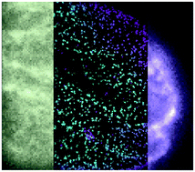 Accessing the third dimension in localization-based super-resolution microscopy
