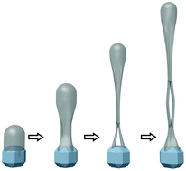 Graphical abstract: Splitting and joining in carbon nanotube/nanoribbon/nanotetrahedron growth